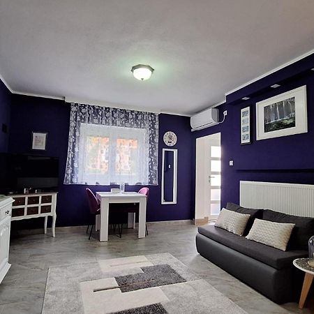 Studio Apartman Marta Korenica Buitenkant foto