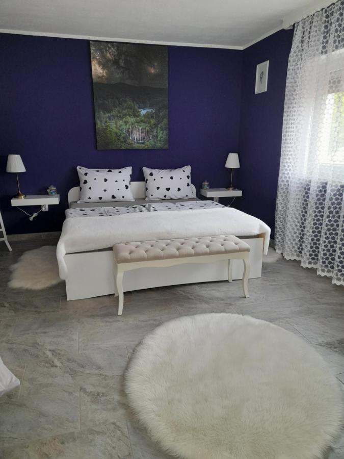 Studio Apartman Marta Korenica Buitenkant foto