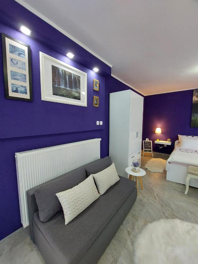Studio Apartman Marta Korenica Buitenkant foto