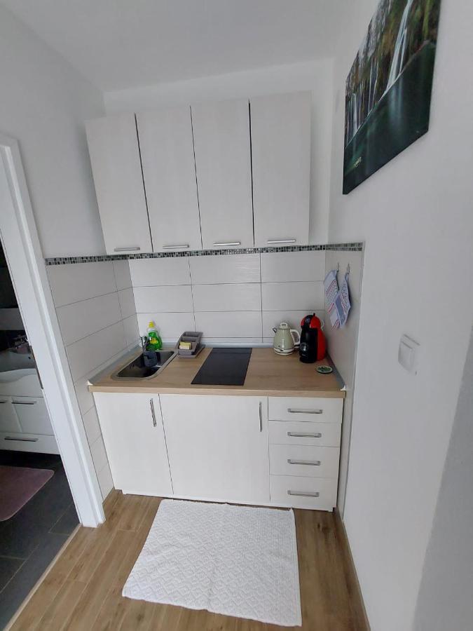 Studio Apartman Marta Korenica Buitenkant foto