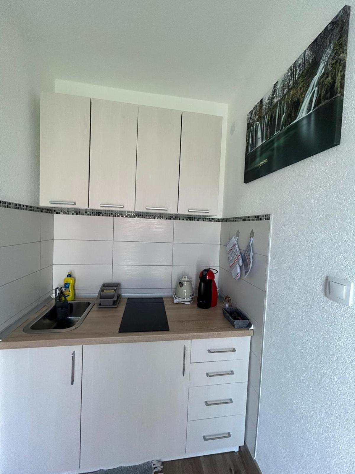 Studio Apartman Marta Korenica Buitenkant foto